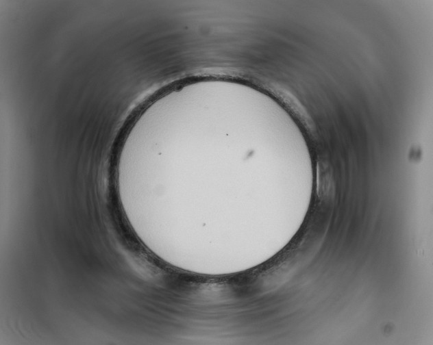 X0000101120204200807241207