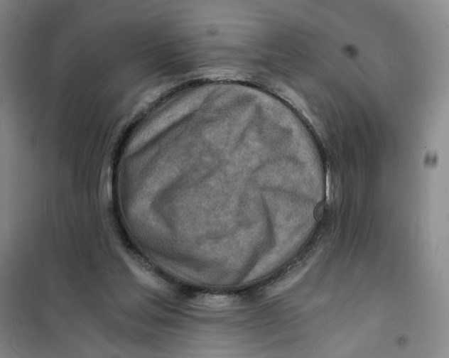 X0000101120205200807241207