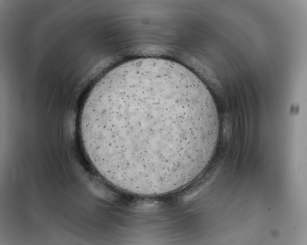 X0000101120206200807241207