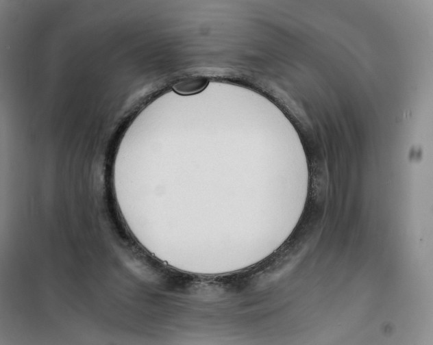 X0000101120207200807241207