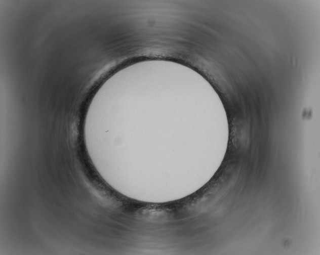 X0000101120208200807241207