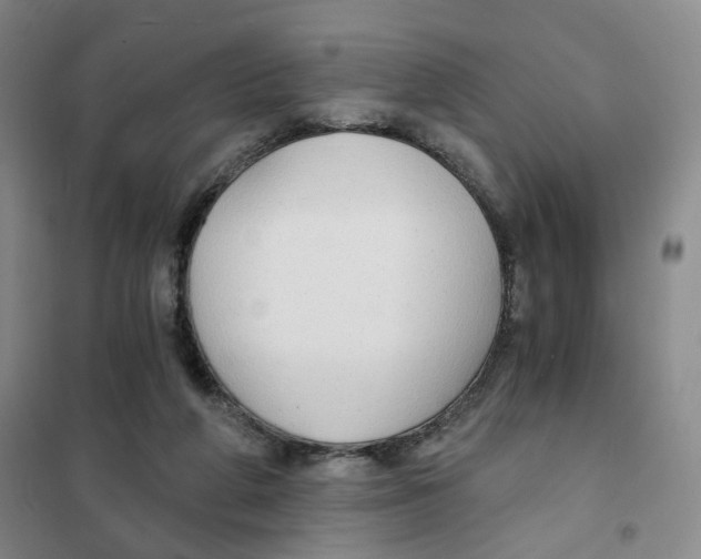 X0000101120210200807241207