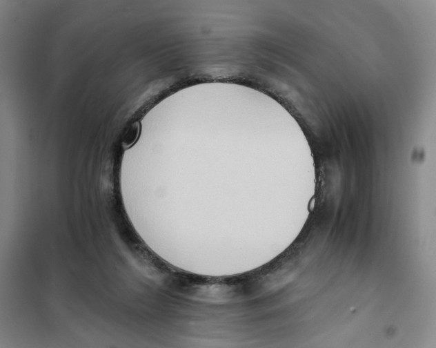 X0000101120212200807241207