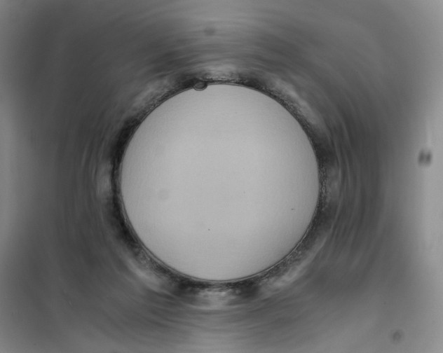 X0000101120213200807241207