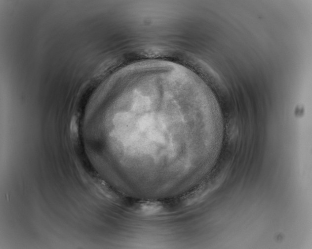 X0000101120214200807241207