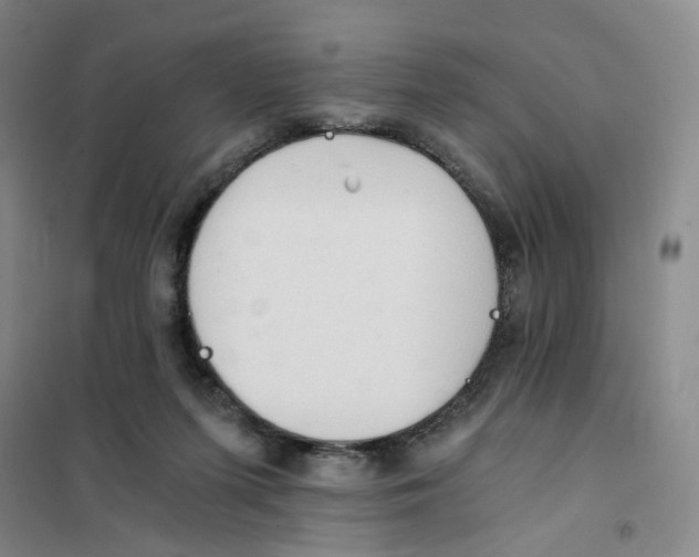 X0000101120215200807241207