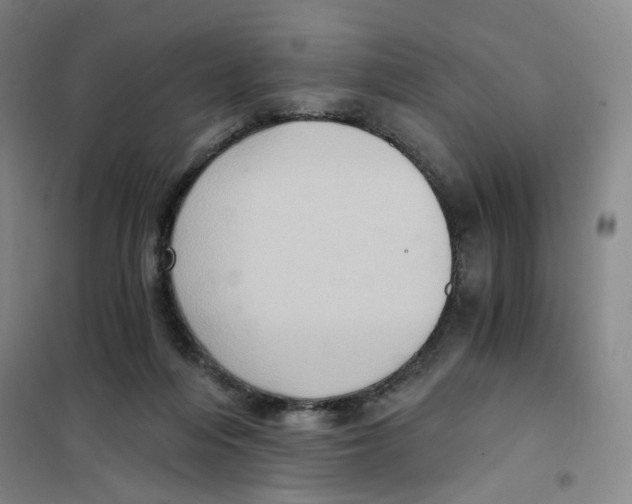 X0000101120216200807241207