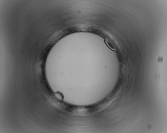 X0000101120217200807241207
