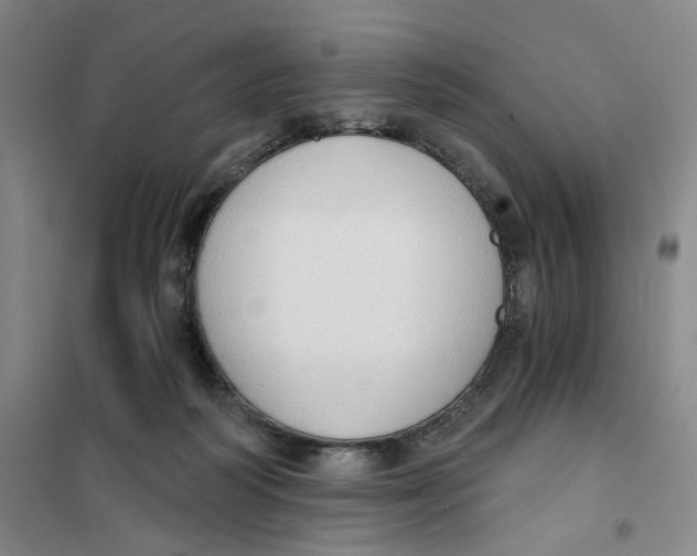 X0000101120218200807241207