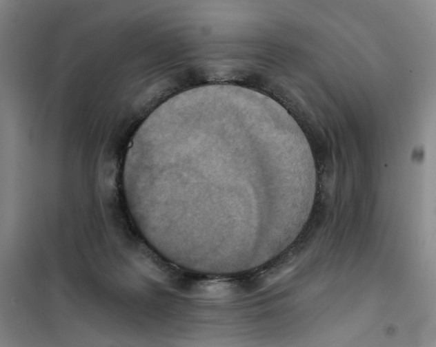 X0000101120219200807241207