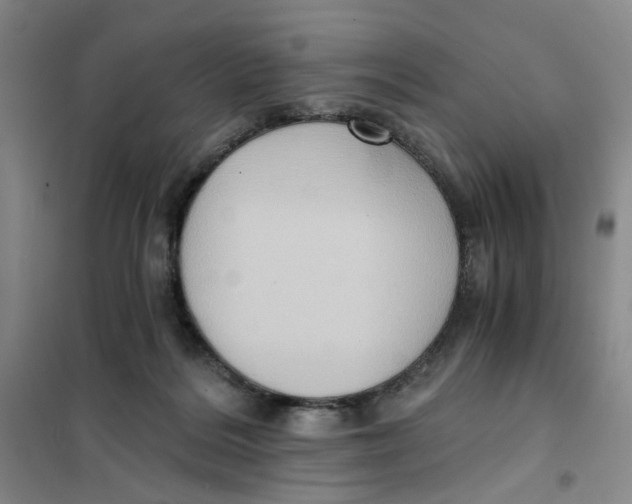X0000101120220200807241207