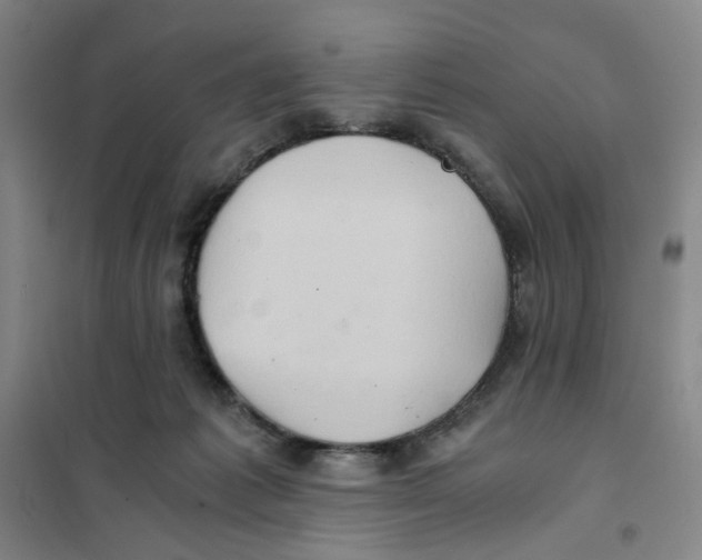 X0000101120221200807241207