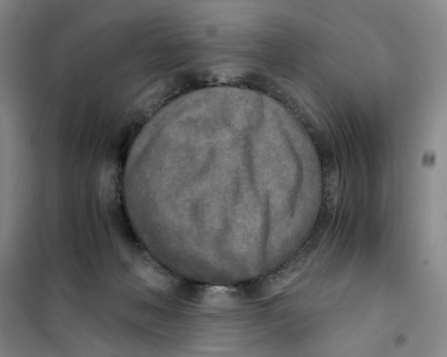 X0000101120222200807241207
