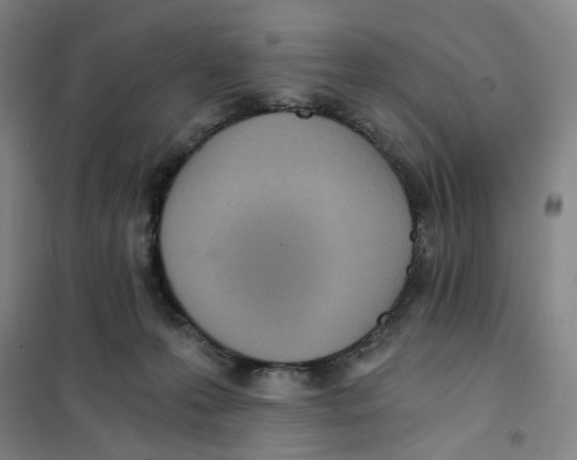 X0000101120223200807241207