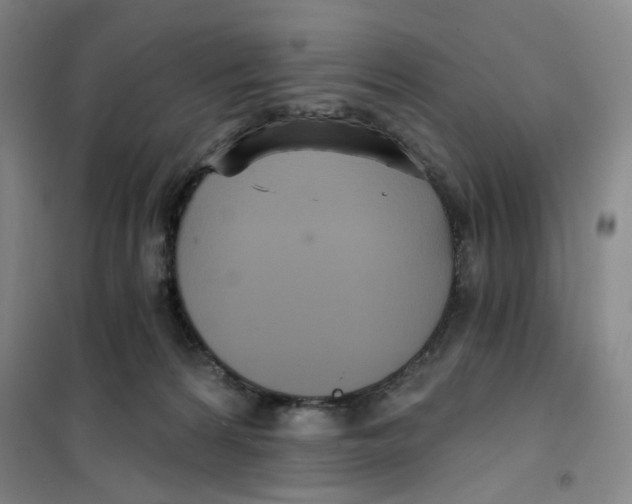 X0000101120224200807241207