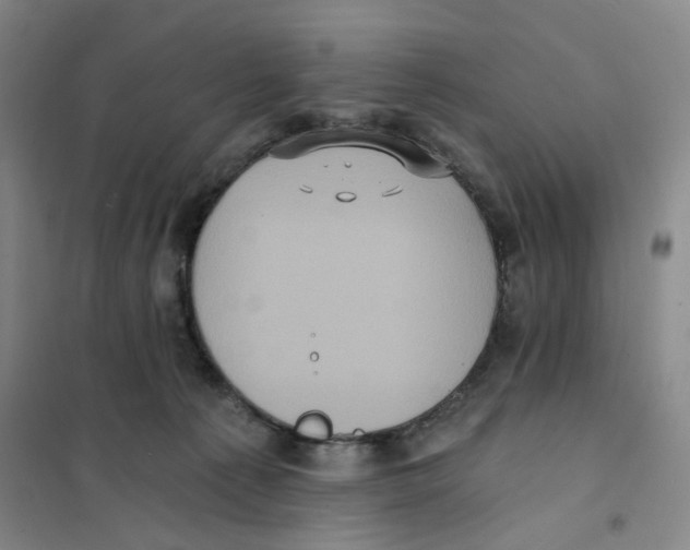 X0000101120225200807241207