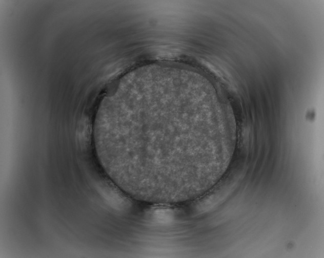 X0000101120228200807241207