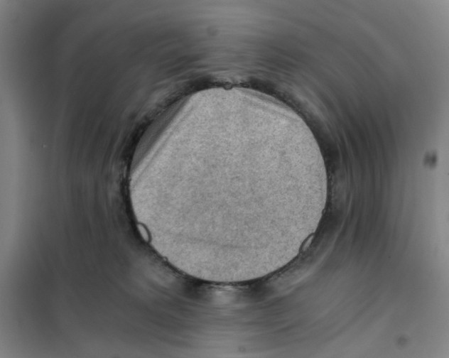 X0000101120229200807241207