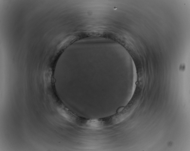 X0000101120231200807241207