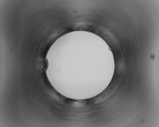 X0000101120232200807241207