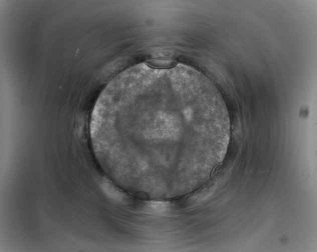 X0000101120233200807241207
