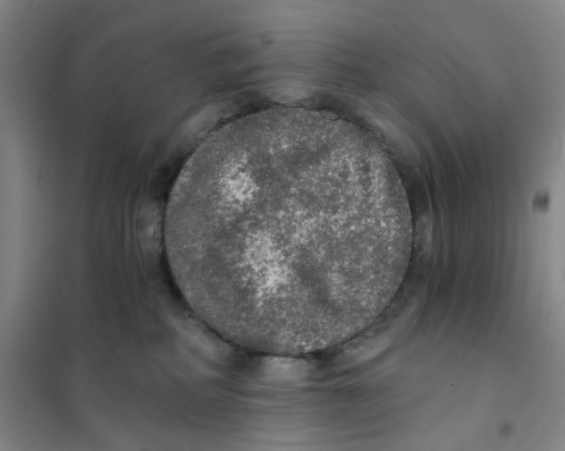 X0000101120234200807241207