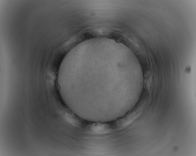 X0000101120235200807241207