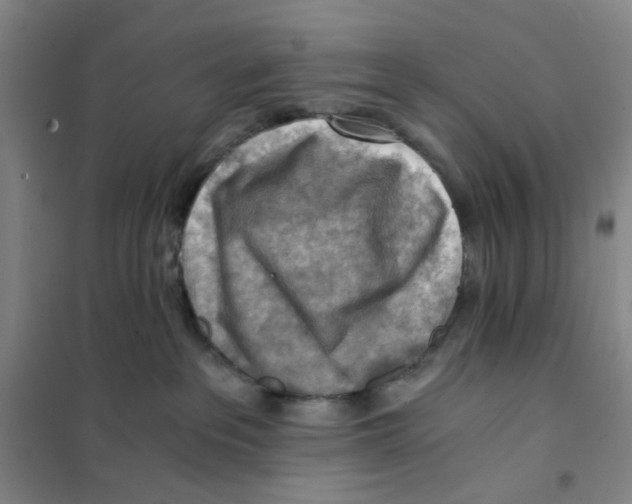 X0000101120237200807241207