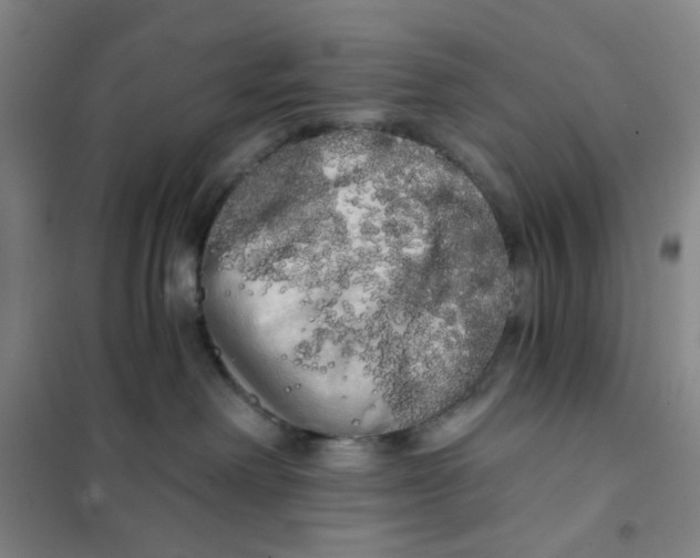 X0000101120238200807241207
