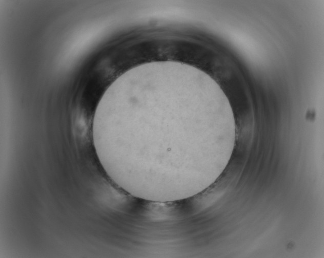 X0000101120239200807241207