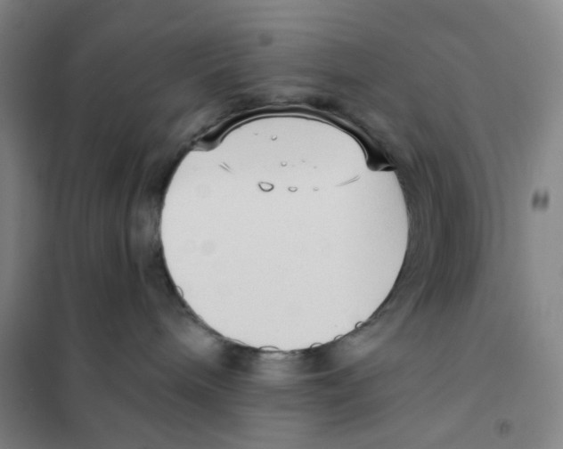 X0000101120240200807241207