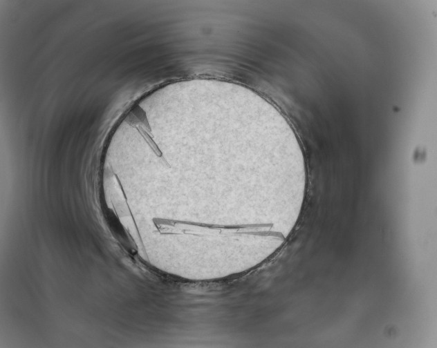 X0000101120241200807241206