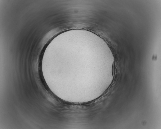 X0000101120242200807241206