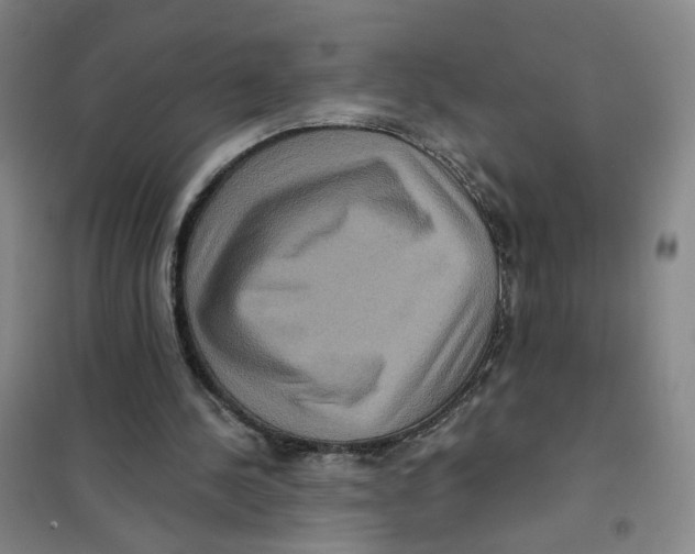 X0000101120244200807241206
