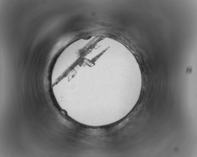 X0000101120245200807241206