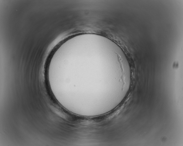 X0000101120246200807241206