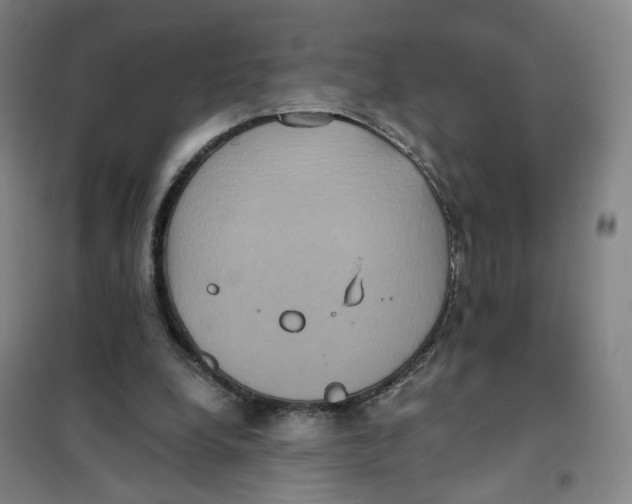 X0000101120248200807241206