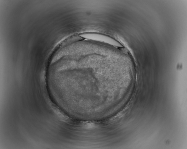 X0000101120249200807241206