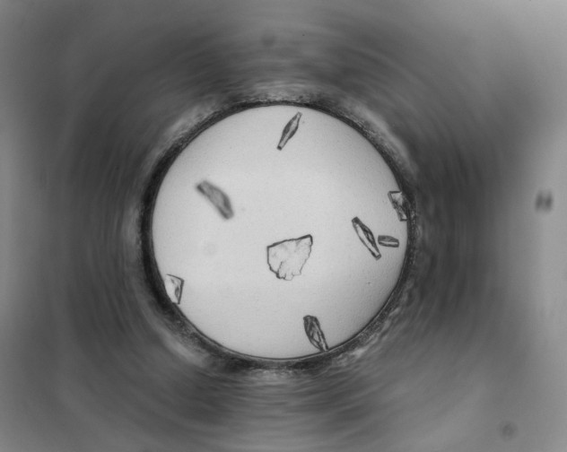 X0000101120250200807241206