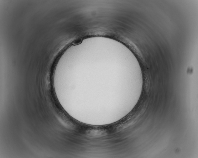 X0000101120251200807241206