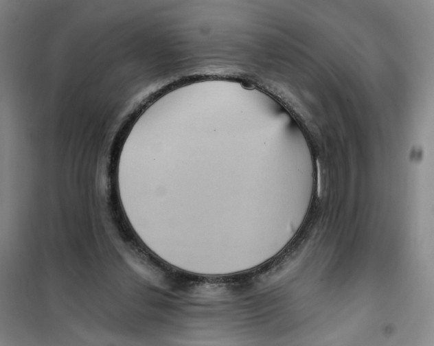 X0000101120252200807241206
