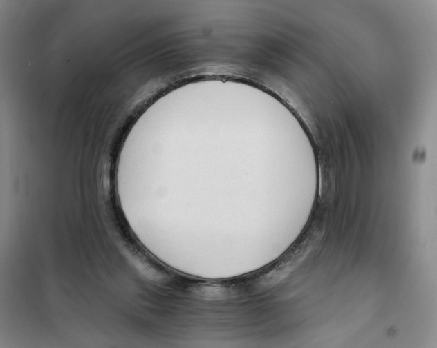 X0000101120253200807241206