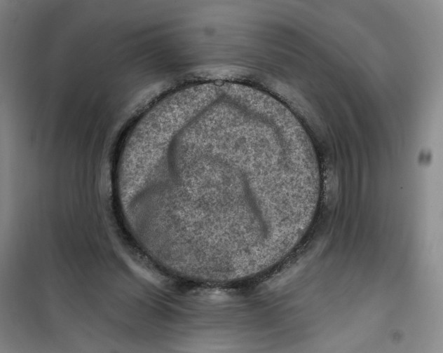 X0000101120254200807241206