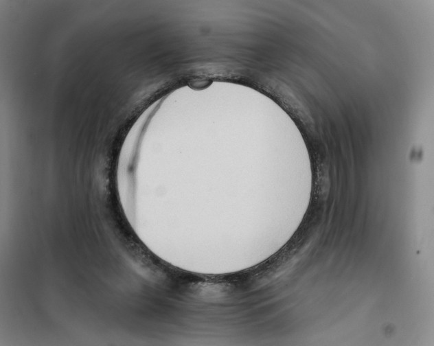X0000101120255200807241206