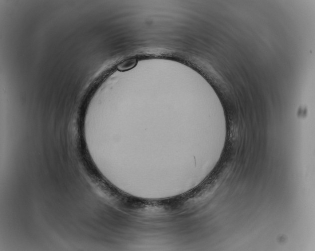 X0000101120256200807241206