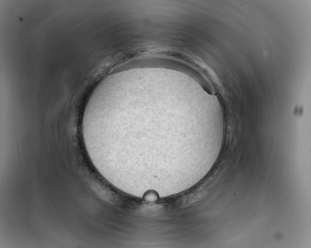X0000101120257200807241206