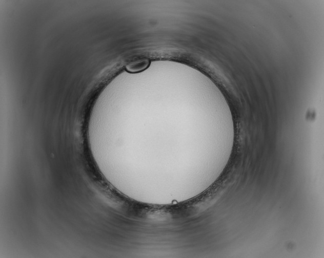 X0000101120258200807241206