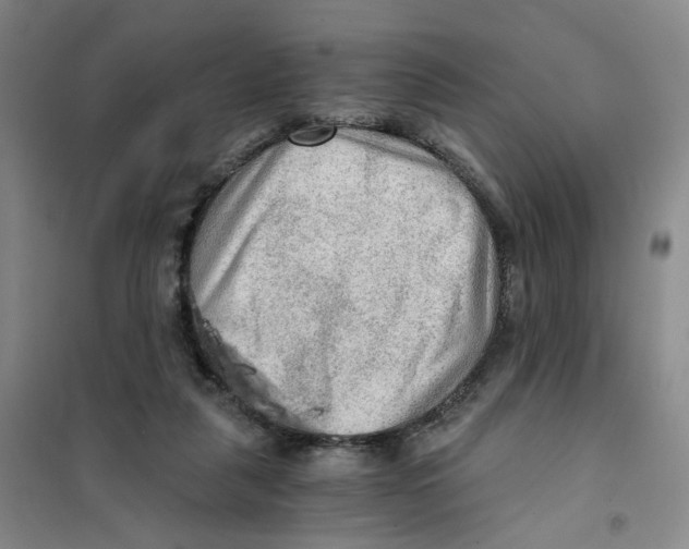 X0000101120259200807241206