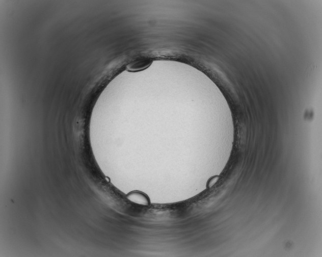 X0000101120260200807241206