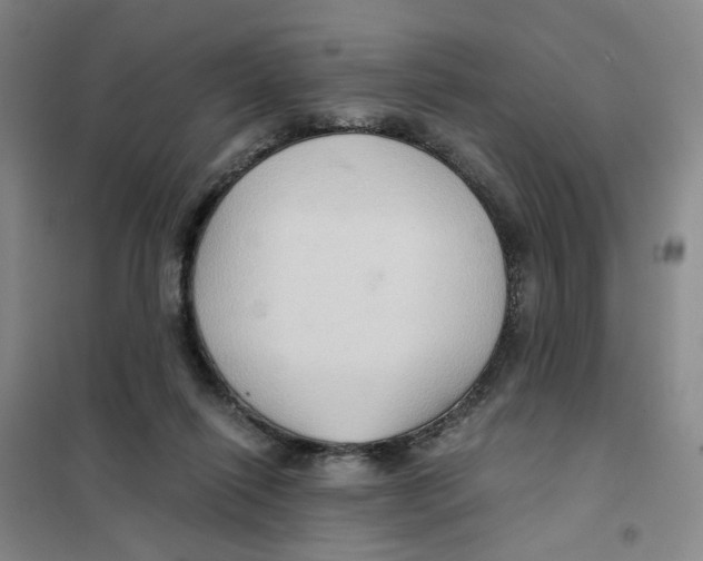 X0000101120262200807241206